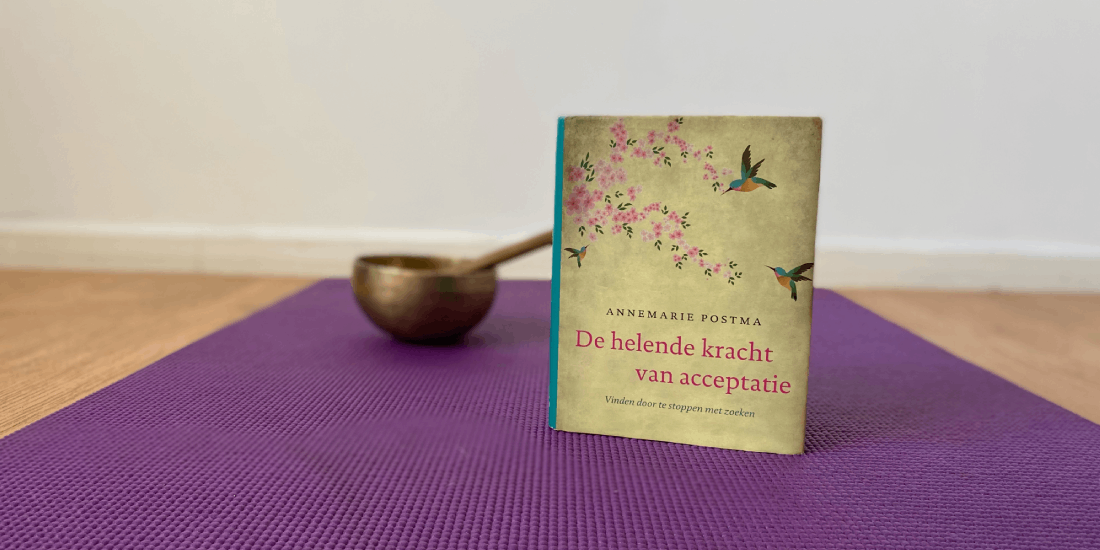 Manon S Breinboek Van De Maand De Helende Kracht Van Acceptatie Blog Blij In Je Brein