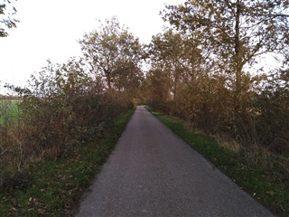 Op de fiets naar het werk